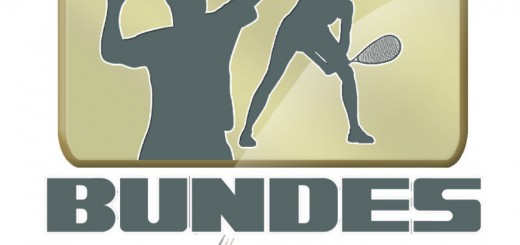 Bundesliga Logo